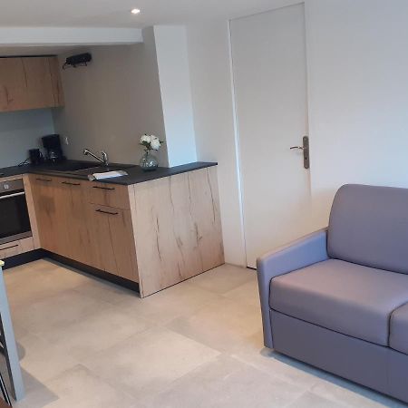 Logement Entier 4 Personnes Villefranche Sur Saone Bagian luar foto